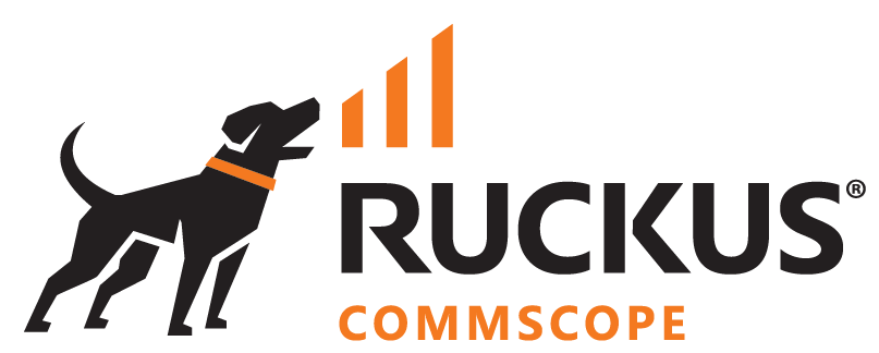 Ruckus ICX
